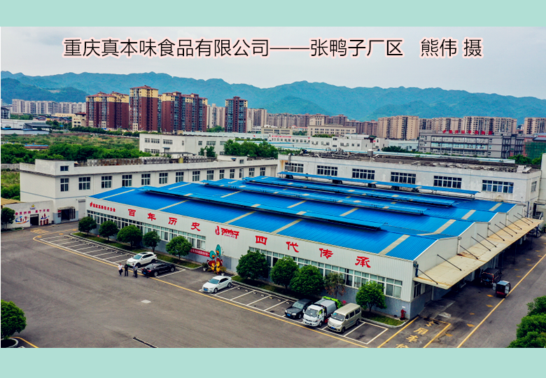 得天独厚,四大优势:重庆率先施行预制菜产业园区建设地方标准 - 华夏影响力-专业财经门户网站